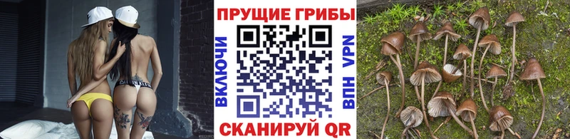наркошоп  Яранск  Галлюциногенные грибы ЛСД 
